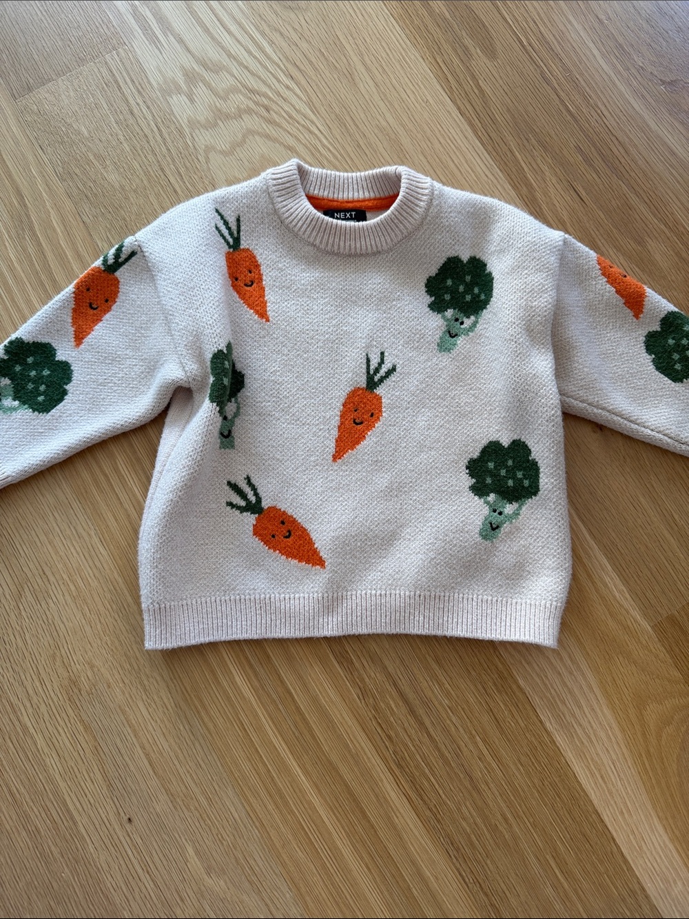 Next Kids Cream Sweater with Orange Carrot & Green Broccoli Motif